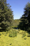 Wetlands