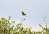 Chula Vista Nature Center in San Diego