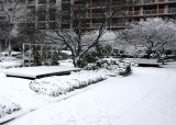 Winter Snow