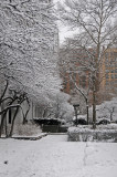 Winter Snow