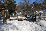 Winter 2010