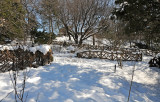 Winter 2010