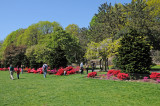 Italian Garden View