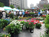 Flowers at the Green Market