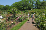 Rose Garden