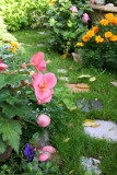 Garden Plot Path - Pink Begonias, Marigolds, etc.