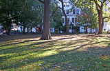 NYU Main Building