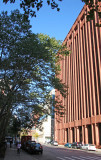 NYU Library