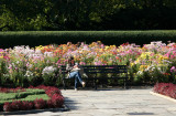 Conservatory Flower Garden