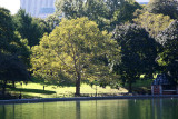 Conservatory Pond