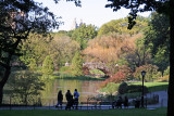 The Duck Pond at Central Park South