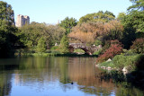 Pond View