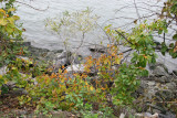 View from Riverdale NY Train Station