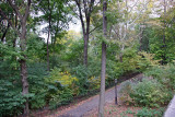 Park View