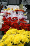 Farmers Market - Chrysanthemums