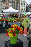 Farmers Market - Lilies