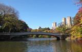 Bow Bridge & CPW from a Ramble Path