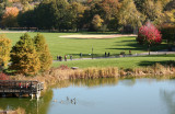 Turtle Pond, Canadian Geese & Great Lawn