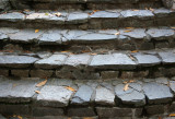 Shakespeare Garden Area - Entrance Stone Steps