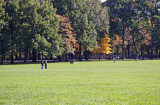 Sheep Meadow