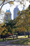 Fall Foliage - Central Park South Horizon