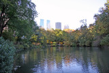 Pond View with CPW Skyline
