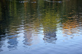 Pond Reflections of CPW Skyline