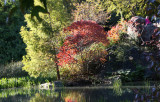 Pond View - Red Sumac Foliage