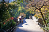 Stone Bridge & Fall Foliage