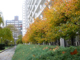 Garden View - Juniper & Hawthorne