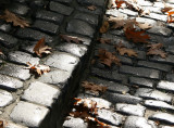 Dew Covered Cobblestone Road to the Cloister with Foliage