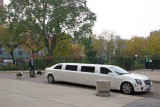 Dog Walker, Stretch Limo & Garden View