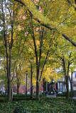 Pear Trees & Mayor LaGuardia Statue