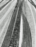 Tire Tracks - First Snow of the Season