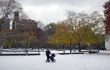 Park View - Fountain Plaza Area