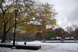 Scholar Tree, NYU Law School, Judson Church & Fountain Plaza