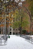 Southeast Corner View - NYU Business School & Library