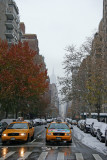 5th Avenue View from the Arch