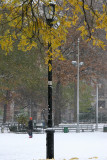 Snow Flurries - Southeast View from the Fountain Plaza