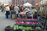 Farmers Green Market - Shopping for Holiday Trimmings