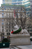 NYC Public Library at Fifth Avenue