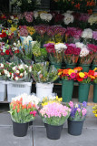 Street Florist Spring Flower Display