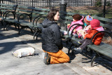Under the Hare Krishna Tree