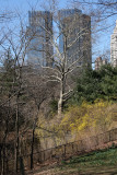 Park & CPW Skyline View near 65th Street Traverse Road