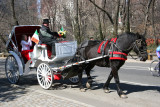 Horsedrawn Carriage near the Mall