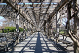 Wisteria Promenade