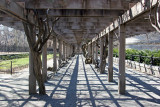 Wisteria Promenade