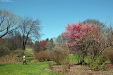 Grounds - Spring View