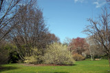 Grounds - Spring View