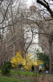 Washington Square Arch